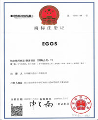 EGGS.jpg